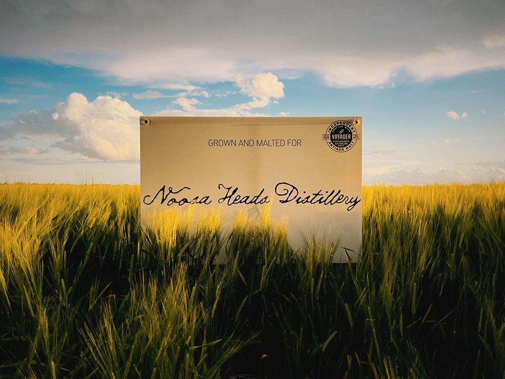 we source natural & organic ingredients and botanicals for all of our products. From our fresh North Qld Honeydew Melon to our dedicated Noosa Heads Distillery barley field located in the NSW Riverina